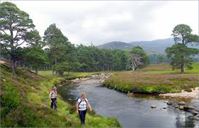 RIver scene in Caringorms, Scotland, UK